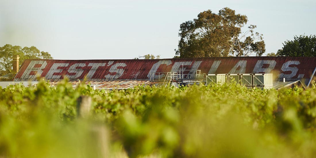 Photo of the winery roof. 